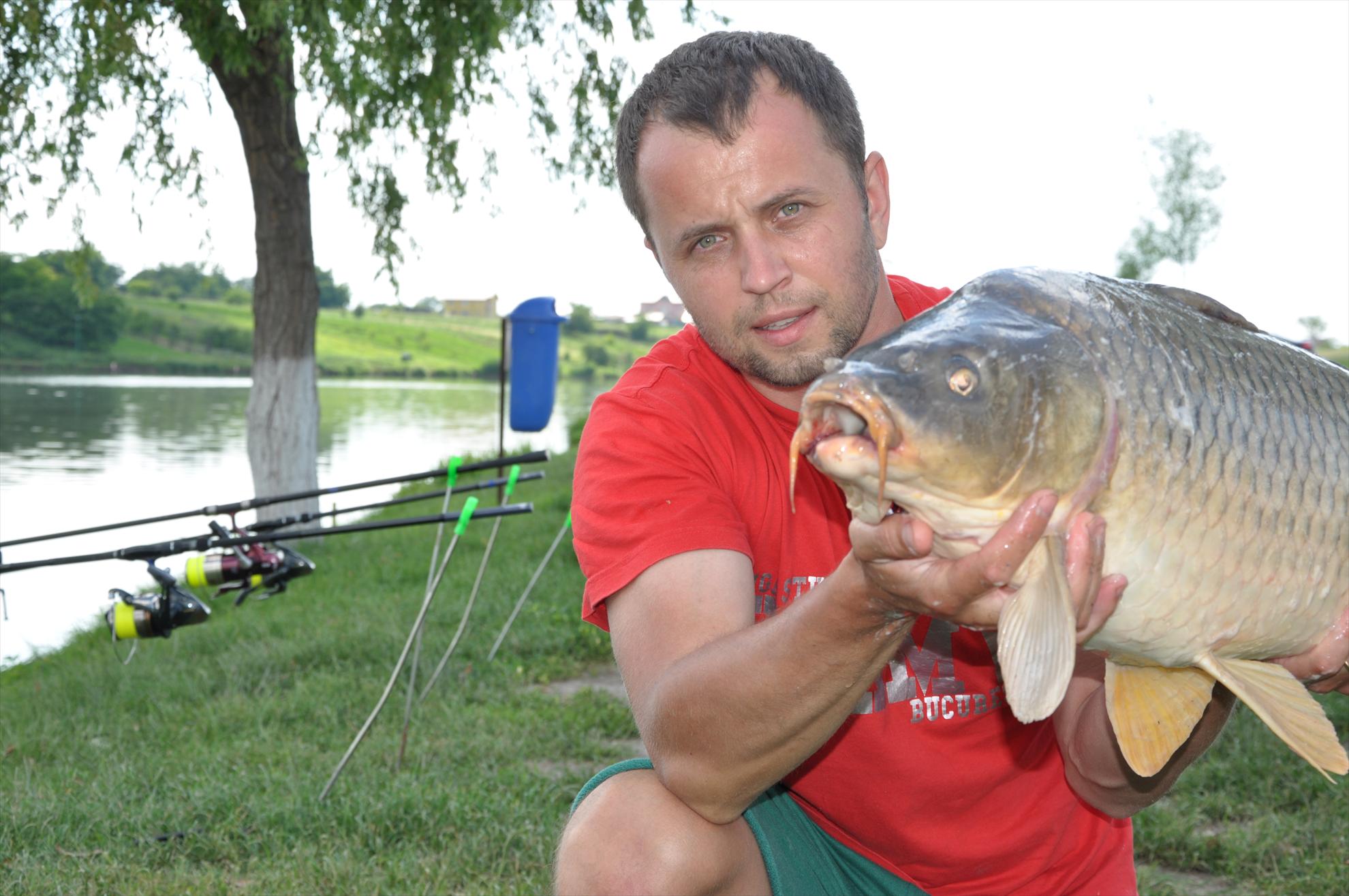 MV 2/3- 09/06/2013 - dsc0050.JPG